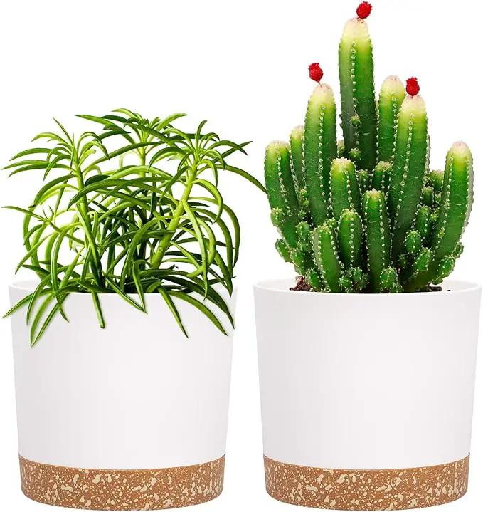 QCQHDU 5 inch Plant Pot, 2 Pack Planters for Indoor Plants with Drainage Holes & Saucer, Outdoor Flower Pots Home Garden Modern Decor by GreenHaven Gardens