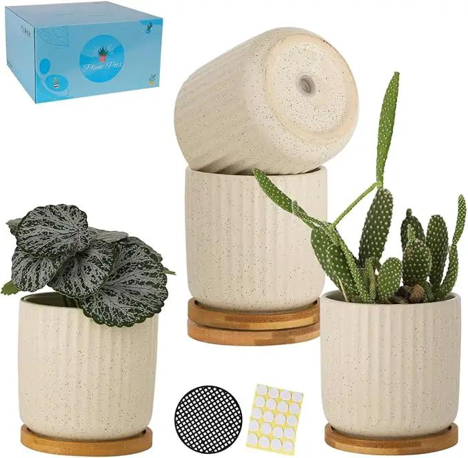 TAMAYKIM 4 Inch Ceramic Plant Pots with Drainage Holes, Modern Flower Planter with Saucer for Indoor Plants, Succulent, Cactus & Herbs, Beige, Set of 4 (Plants Not Included) by GreenHaven Gardens