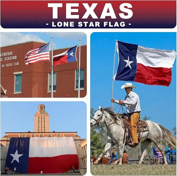Texas Flag 2x3 ft Deluxe Super Tough Series, Heavy Duty Spun Polyester, All Weather TX Flag High Wind with Embroidered Stars, Brass Grommets, Sewn Stripes, Durable Texas Flags Outdoor Outside by GreenHaven Gardens