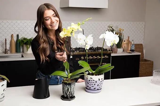 rePotme 4 x 6 inch Ceramic Orchid Pot (Honey Cream Over Coffee) - Hexagon Orchid Pot with Holes by GreenHaven Gardens