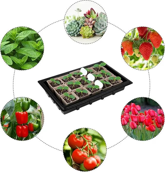 Aodaer 247 Pack Seed Starter Kit Including Peat Pots for Seedlings Seed Starter Tray with Plant Labels, Tool, Plastic Growing Trays Germination Tray Paper Seedling Cups for Indoor Outdoor Garden by GreenHaven Gardens