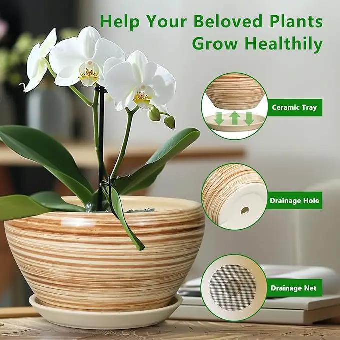 Indoor Planter 9 Inch - Ceramic Pots for Plants Plant Pot Indoor with Drainage Hole and Saucer Round Large Planter Modern Outdoor Flower Pot for House Patio Yellow by GreenHaven Gardens