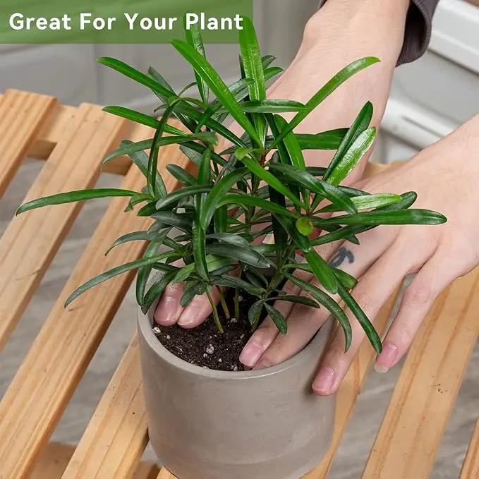 Ekirlin 3.5 in Plant Pot Indoor - Grey Cement Planters with Drain Hole, Removable Rubber Stopper, Non-Slip Soft Pad - Concrete Planter for Most Indoor Plants and Flowers by GreenHaven Gardens