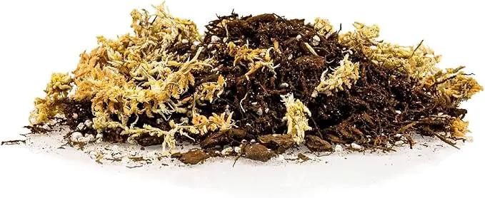 Premium Orchid Mix by GARDENERA | Fern + New Zealand Pine Bark + Sphagnum Moss + Perlite | Best for Growing and Repotting Orchids - 2 Quart Bag by GreenHaven Gardens
