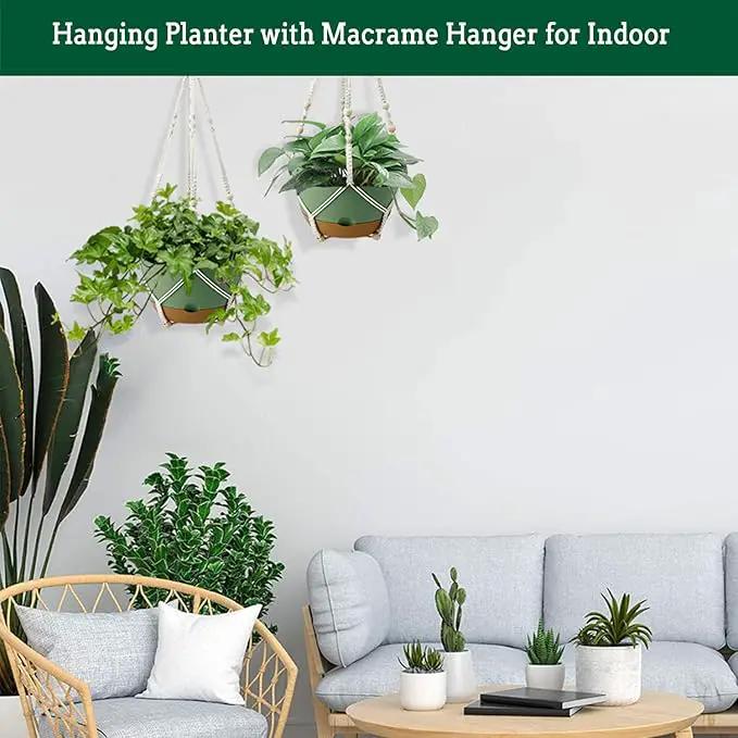 Hanging Planter Self Watering 10 Inch, 2 Pack Indoor Outdoor Hanging Baskets, Hanging Flower Pots with Drainage Hole & 2 Kinds of Plant Hangers for Garden Home Decor(Green)… by GreenHaven Gardens