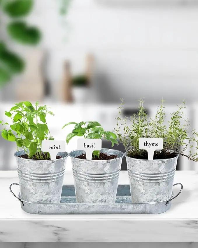 vensovo Indoor Herb Planter Set - Galvanized Windowsill Garden Pots with Tray & Drainage, Set of 3 Metal Window Planters for Kitchen & Outdoor Use, Silver by GreenHaven Gardens