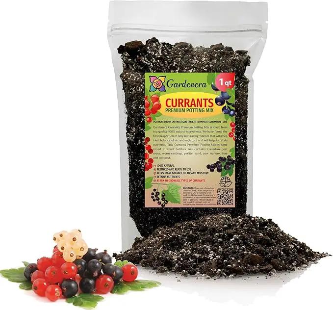 Premium Currant Plant Potting Soil Mix - Optimal Nutrient-Rich Blend for Thriving and Juicy Currants - 1 Quart by GreenHaven Gardens