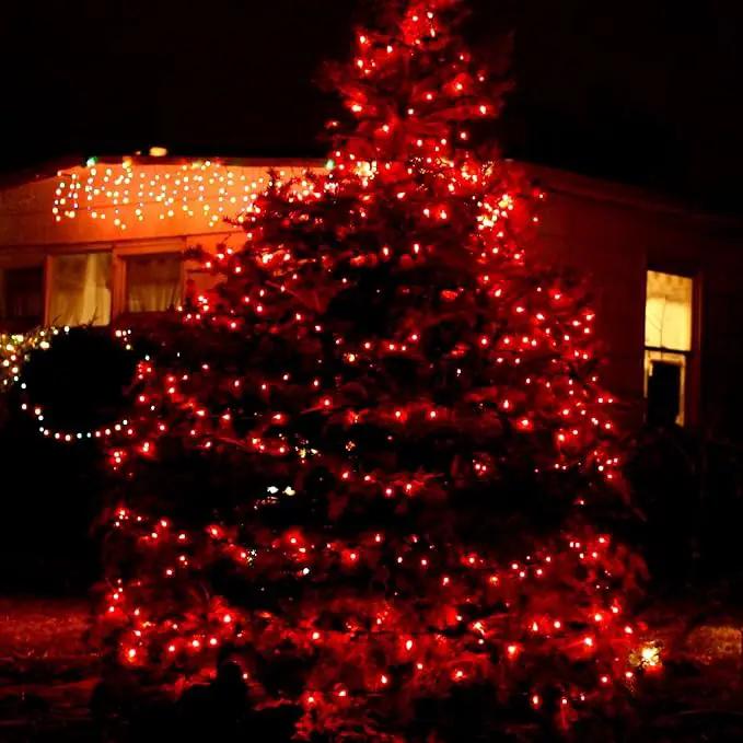 TW SHINE Red Christmas Lights, 20FT 100 Count Incandescent Christmas Mini Tree String Lights, Waterproof Christmas Decorations for Outdoor Indoor Xmas Patio Home Party Garden Yard Decor by GreenHaven Gardens