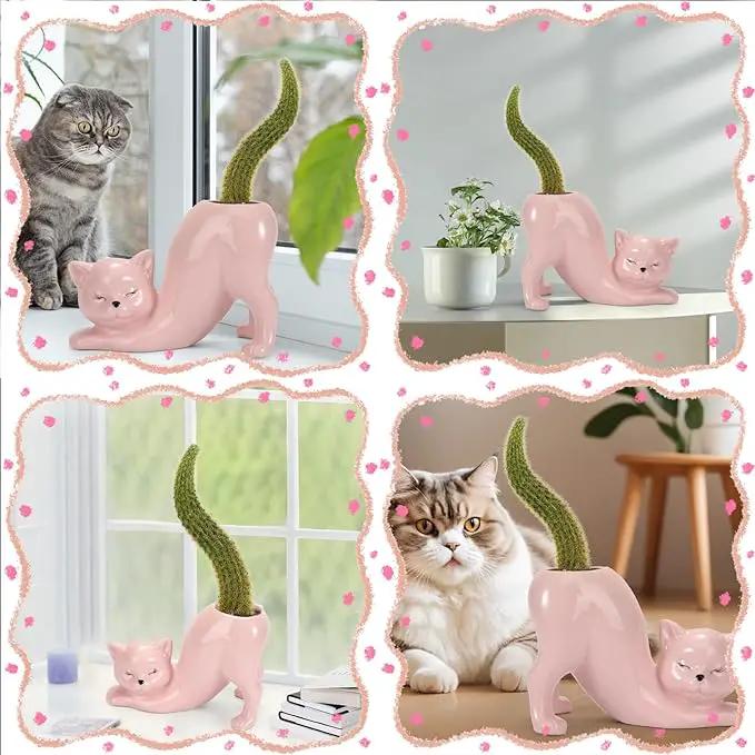 TOIVO Cat Planter Pot，Indoor and Outdoor Plant Displays，Funny Ceramics Cat Flower Pot，Cat Gifts for Cat Lovers，Lovely Office Desk Room Home Decor (Pink, Small) by GreenHaven Gardens