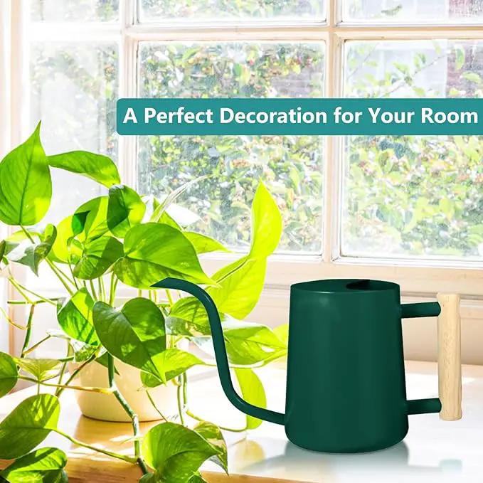 Watering Can Indoor Plants, 35oz Small Watering Can Indoor Stainless Steel Metal Watering Can Modern Decorative Watering Pot with Long Spout for Indoor House Plant Bonsai Garden Flowers (Alpinegreen) by GreenHaven Gardens