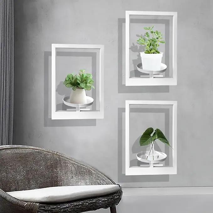 Picture Frame Plant Holder, Wall Mount Plants shelf Indoor Outdoor, Metal Hanging Planters Stand Decor, Window Planter Hanger Shelves, Modern Floating Ornament Rack Art for Home & Garden(White 3pc) by GreenHaven Gardens