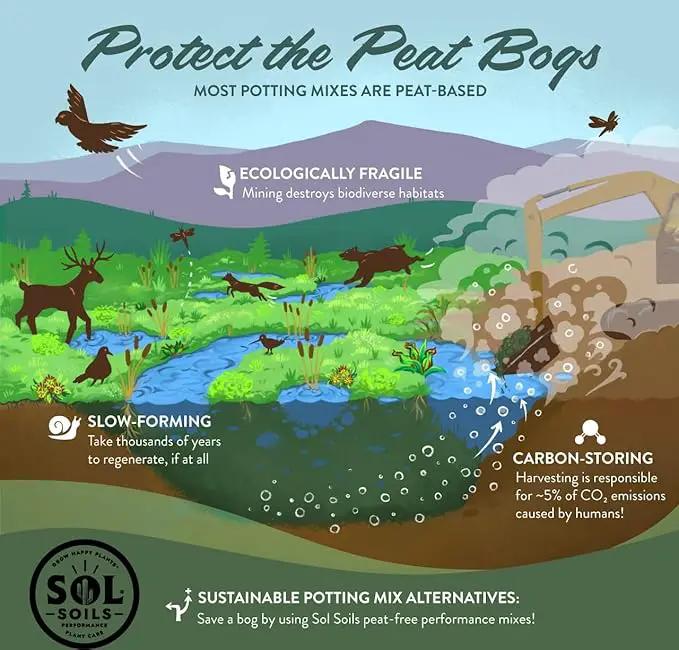 Sol Soils Succulent Gritty Mix 1 Gallon - Fast Draining Peat Moss Free Succulent Soil Potting Mix with Coconut Husk Chips, Perlite & Pumice by GreenHaven Gardens