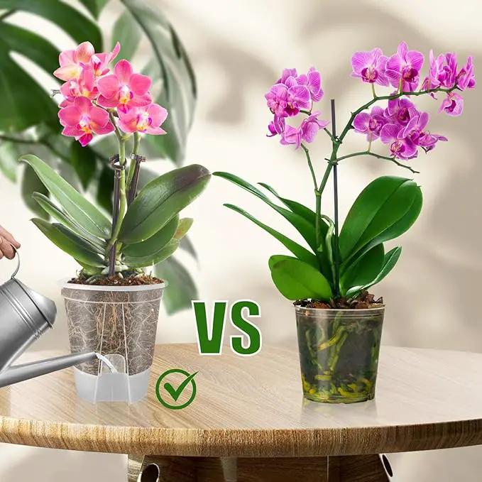 Cdd's Path 5-Pack 6 Inch Self Watering Pots Set with Holes for Indoor/Outdoor Plants,Planter Pot with Watering Hole/Reservior and Air Pipes,Clear by GreenHaven Gardens