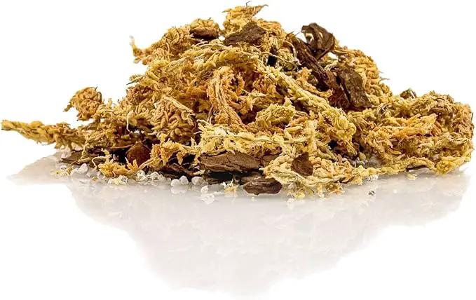 Premium Sphagnum Moss, Perlite and New Zealand Pine Bark Blend for Carnivorous Plants - 10 Quart - Perfect for Venus Fly Traps, Pitcher Plants, Sarracenia, Butterworts, and Sundews by GARDENERA by GreenHaven Gardens