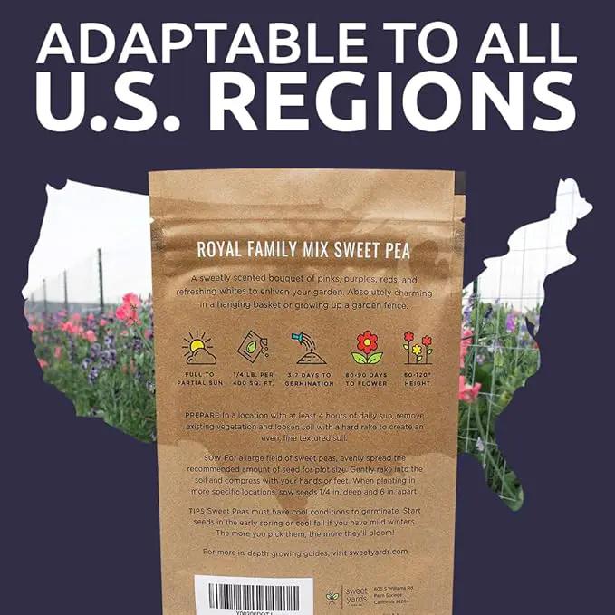 Sweet Pea Seeds Royal Mix - Bulk 1/4 Pound Bag - Over 1,400 Seeds - Large Fragrant Lavender, Purple, Red, Pink and White Blooms by GreenHaven Gardens