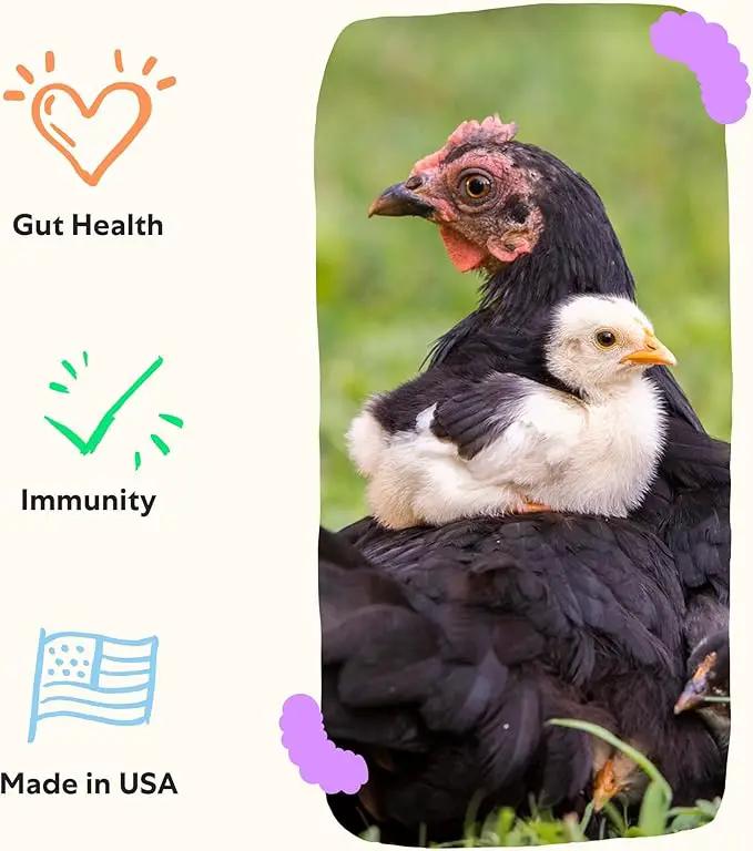 Grubbly Farms Prebiotics + Probiotics for Chickens (30 Day) by GreenHaven Gardens