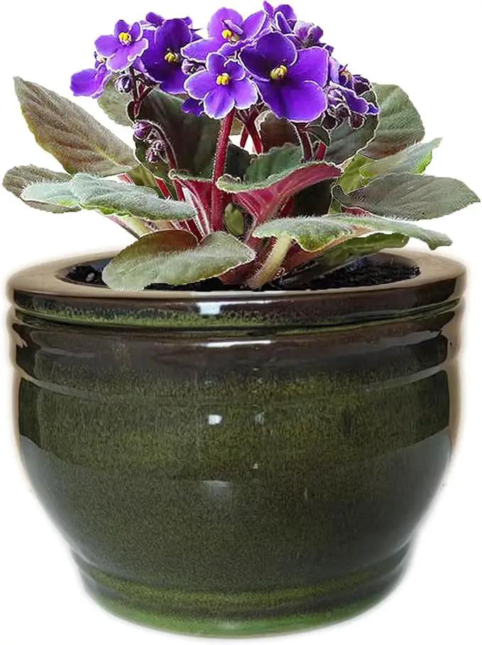 African Violet Pots Self Watering Round Ceramic Violet Pot (Olive drab, 6 inch) by GreenHaven Gardens