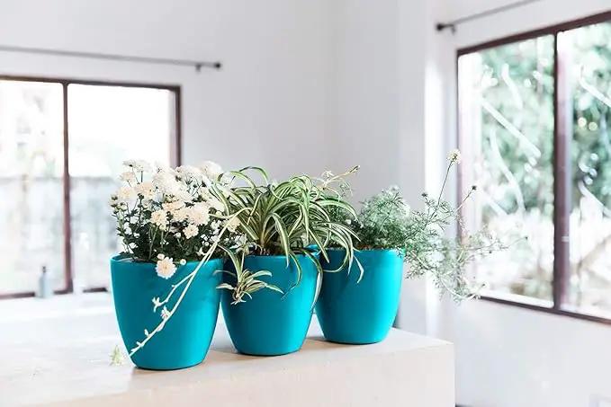 GARDENIX DECOR Self Watering Pots for Indoor Plants 3 Pack - Flower Pot with Water Level Indicator for Plants, Grow Tracking Tool - Self Watering Planter Plant Pot - Coco Coir - Teal by GreenHaven Gardens