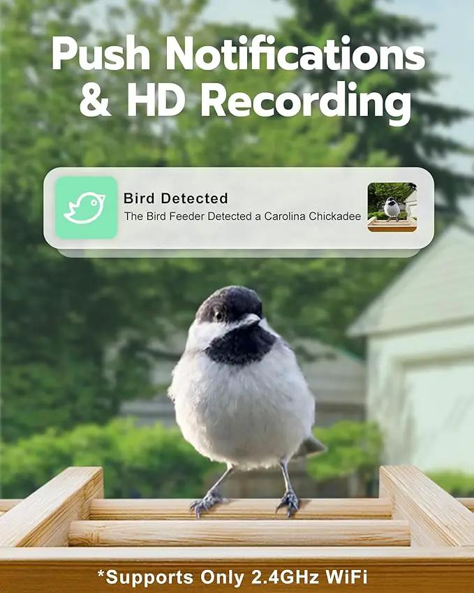 Bird Feeder with Camera, Smart Bird Feeder for Outdoors, Wild Birds Feeders with Solar Panel Bamboo Birds House Camera for Birdlovers, AI Auto Capture Birds & Real-time Notification (Gable) by GreenHaven Gardens