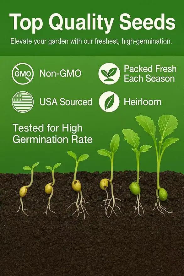 30000+ Creeping Thyme Seeds – 4g – Perennial Ground Cover Plants Flowers Non-GMO Heirloom – Purple Bloom Garden Seeds for Planting by GreenHaven Gardens
