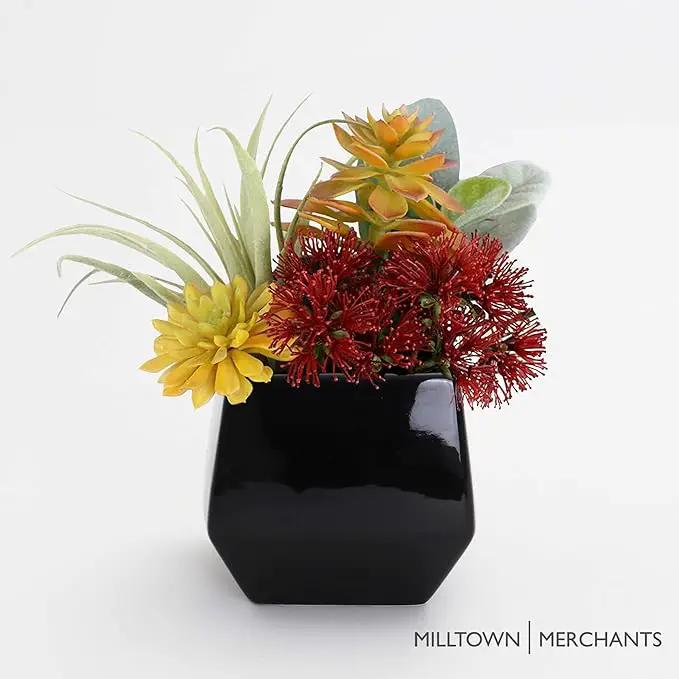 Milltown Merchants Succulent Wall Planters - Wall Vases - White Ceramic Wall Mounted Planters - Succulent Plant Pots - Hanging Vases for Living Wall (1 Pack/Contemporary/Black) by GreenHaven Gardens