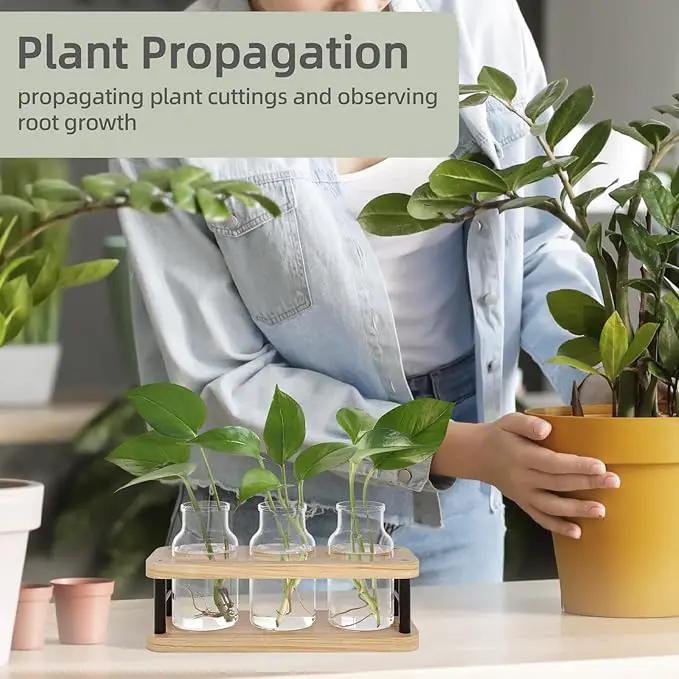 THYGIFTREE Plant Propagation Station with Wooden Stand, Propagation Vases Glass Planters for Indoor Plants Hydroponic Propagating Jars Home Office Decor, Plant Lover Gifts by GreenHaven Gardens