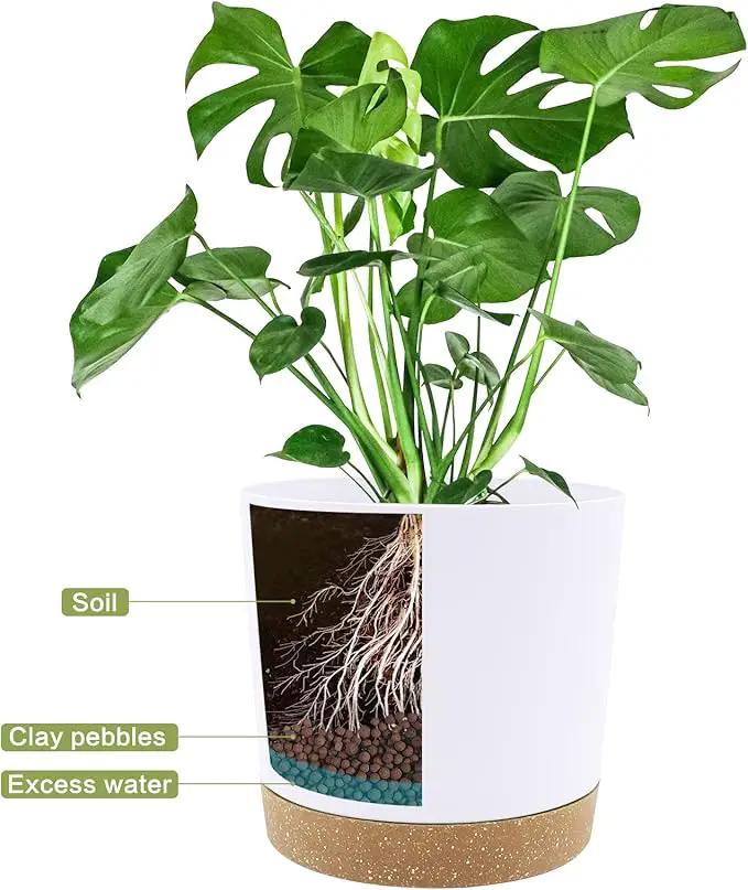 QCQHDU 12 inch Plant Pot, 2 Pack Planters for Indoor Plants with Drainage Holes & Saucer, Outdoor Flower Pots Home Garden Modern Decor by GreenHaven Gardens