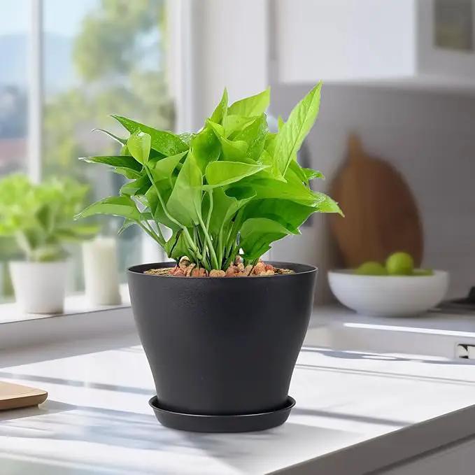 6 inch Plastic Nursery Pots, 16 Pack Plant Pots for Small Indoor Outdoor Plants, Flower Pots with Drainage Holes and Saucers, Decorative Seedling Starter Planters for House Plants, Black by GreenHaven Gardens