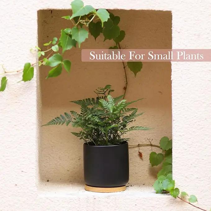 OMAYKEY 4 Inch Ceramic Plant Pot with Saucer, Black Planters Pots with Drainage Hole and Mesh Pads for Succulent, Snake, Cactus, Herbs - 4 Packs(Plant Not Included) by GreenHaven Gardens