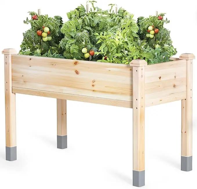 MIXC Wooden Raised Garden Bed with Legs, 48”L X 24”W, Elevated Reinforced Large Planter Box for Vegetable Flower Herb Outdoors - Beam and Column Structure - Unmatched Strength Outlast by GreenHaven Gardens