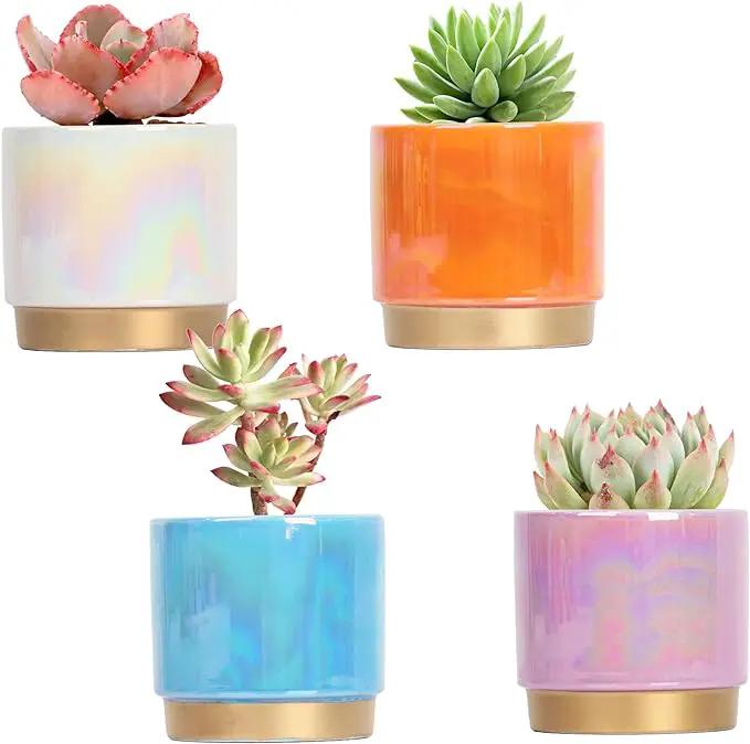 Gepege Succulent Pots for Plants, Succulent Planter with Drainage Holes, Ceramic Pot for Indoor Plant, Set of 4 by GreenHaven Gardens