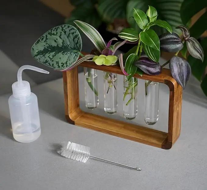Source & Plot - Plant Propagation Station - Acacia Wood Stand 4 Glass Test Tube Hydroponic Tabletop Rooting Terrarium Planter Rack Home and Office Decor - Last Batch by GreenHaven Gardens