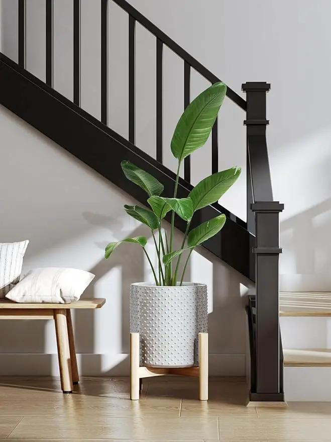 LE TAUCI Ceramic Pots for Plants, 6+8+10 Inch Planters for Indoor Plants, Plant Pots Indoor for Home and Office, Mid-Modern Century Flower Pots with Drainage Hole and Silicone Plug, Glaze Star Gray by GreenHaven Gardens