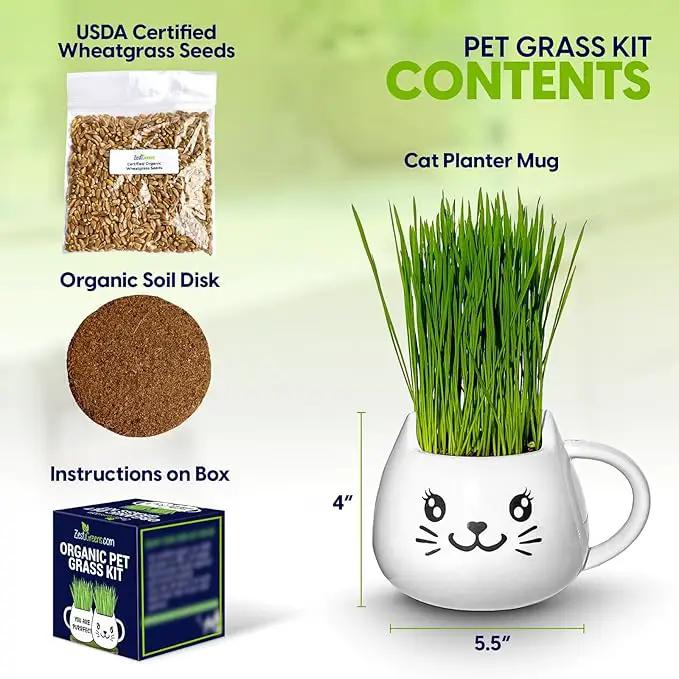Organic Cat Grass Growing Kit - Promotes Natural Hairball Control and Digestive Wellness - Includes Organic Seed Mix, Nutrient-Rich Soil, and Stylish White Cat Planter by GreenHaven Gardens