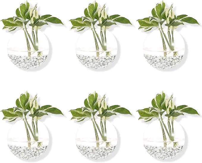 Pack of 6 Glass Planters Wall Hanging Planters Round Glass Plant Pots Hanging Air Plant Pots Flower Vase Air Plant Terrariums Wall Hanging Plant Container by GreenHaven Gardens