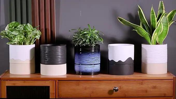 Nihow Self Watering Plant Pot: 6 Inch Ceramic Planter with Drainage Hole & Water Storage Plus for Indoor & Outdoor Plants - Cylinder Round Flower Pot for Succulent/Herbs/Violets - White & Brown by GreenHaven Gardens