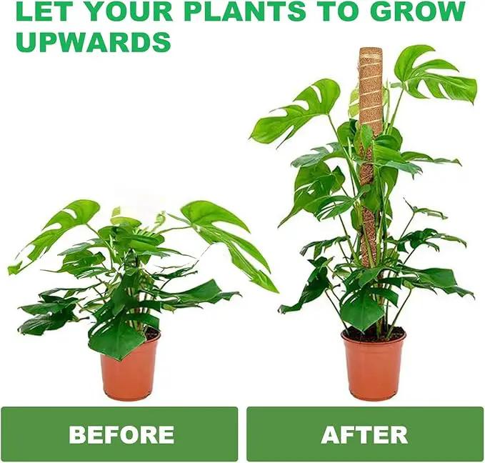 Moss Pole, 4 Pack 15Inch Monstera Plant Support Stackable Moss Poles for Plants, Moss Sticks with 15pcs Labels and 78in Garden Ties,Monstera Plant Stake for Climbing Plants,Can Stacked Up to 42” by GreenHaven Gardens