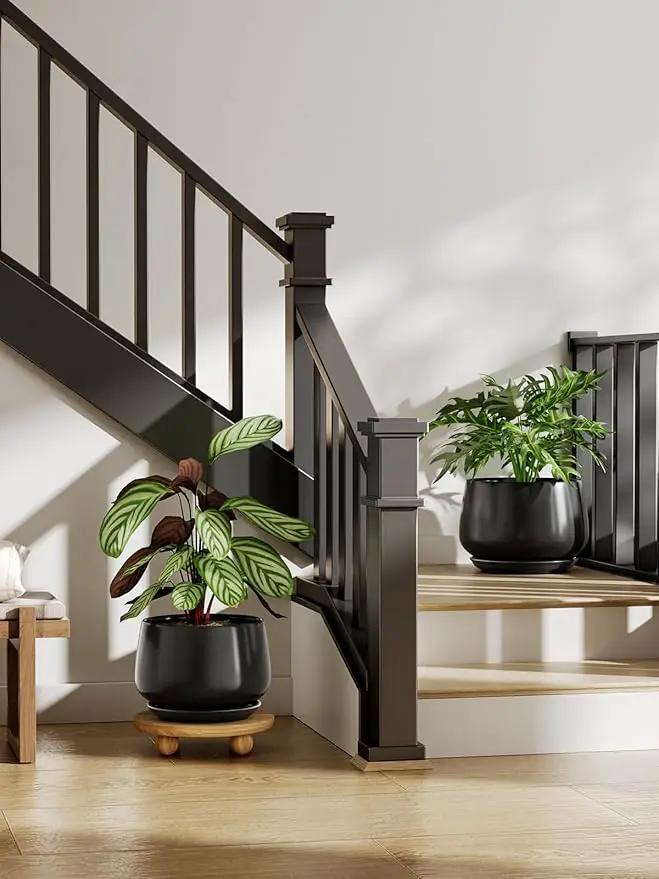 LE TAUCI Ceramic Planter, 10 Inch Plant Pot with Drainage Hole & Saucer – Durable Indoor Planter for Modern Home Decor, Black by GreenHaven Gardens