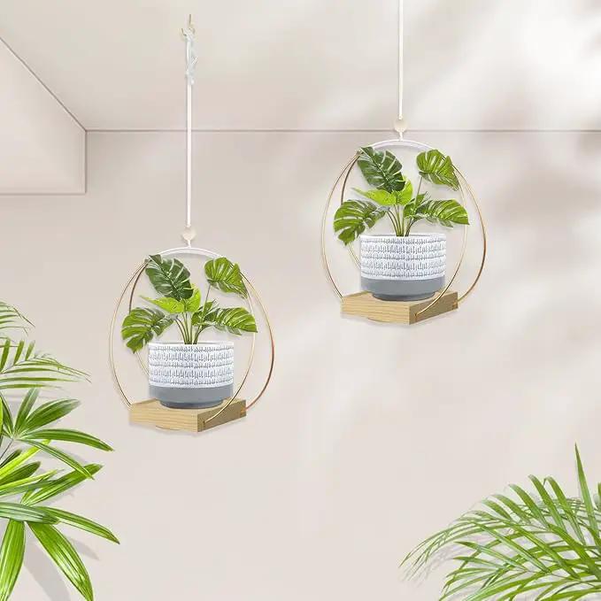Hanging Planters for Indoor Plants, Plant Hanger with Sturdy Wood Base,Modern Boho Macrame Plant Hanger,Wall Ceiling Window Stands(Plants/Pots Not Included) by GreenHaven Gardens