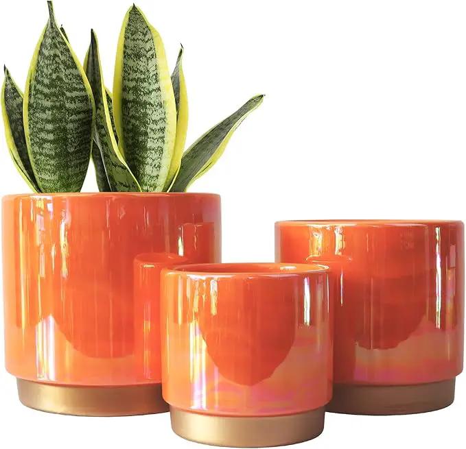 Gepege Ceramic Indoor Pots for Plants, Rainbow Pearl Glaze Planter with Drainage Hole, 6.0 inch+5.0 Inch+4.0 Inch. Orchid Flower Pots by GreenHaven Gardens