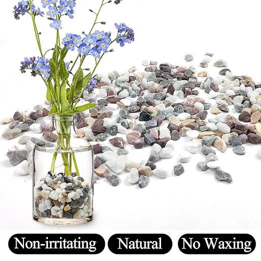 20lbs Mixed Color Pebbles for Landscaping, 3/8inch Small Rocks for Garden Succulent Cactus Planters, Natural Polished Pebbles, River Rocks for Plants, Vases by GreenHaven Gardens