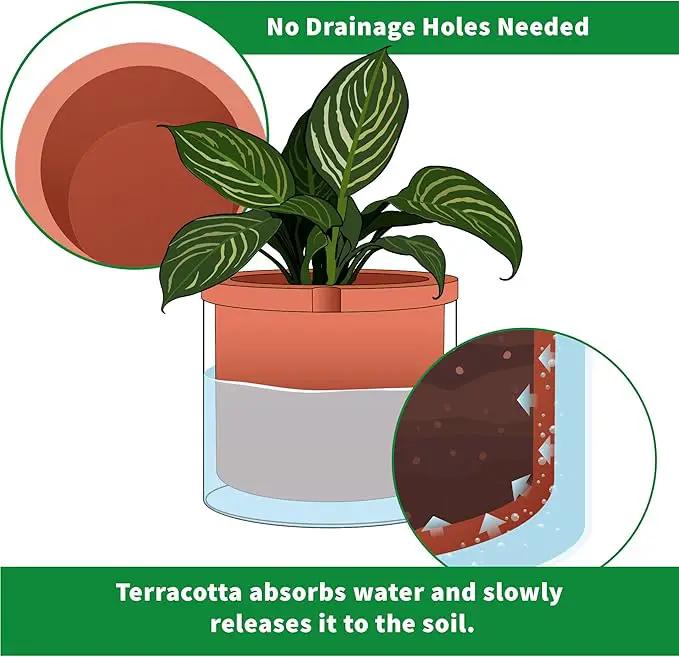 Phoenix Vine 8 Inch Self Watering Planter Pots, Design White Terracotta Pots for Plants, Indoor Cylinder Terra Cotta Pots with Glass Vase, Set of 1, 51-A-H-1 by GreenHaven Gardens