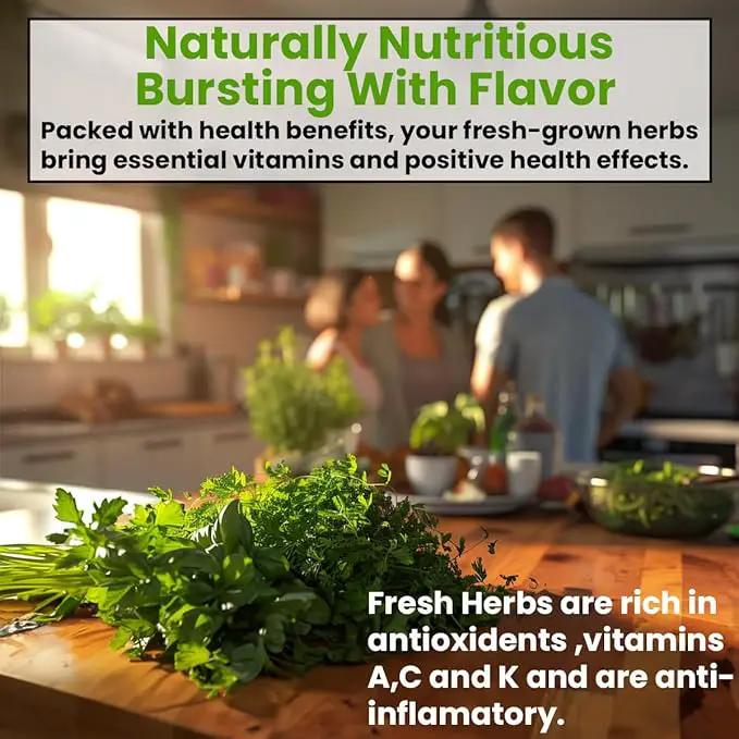 5 Herb Seeds Variety Kit, Oregano, Cilantro, Parsley, Basil, Chives by GreenHaven Gardens