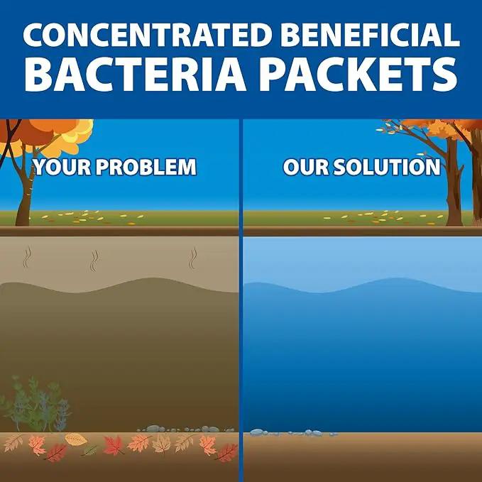 The Pond Guy Seasonal Defense, Spring & Fall Beneficial Bacteria, Barley & Enzymes, Cold Water Pond Sludge & Scum Treatment, Fish & Plant Safe, 96 Packets by GreenHaven Gardens