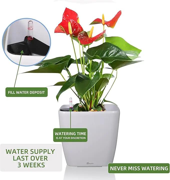 Dexceder 15x14 Self Watering Planter with Wheels Indoor Outdoor, Inner Mat Design, Thickened Large Floor Standing Flower Plant Pot with Water Level Indicator (White Matte) by GreenHaven Gardens