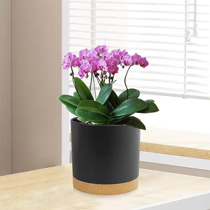 5 Pack Cylindrical Flower Pots with 7/6.5/6/5/4 inch, Modern Small Plastic Plant Pots with Drainage Holes & Saucers, Round Planter Pots for Outdoor, Indoor & Office Decor (Black Brown) by GreenHaven Gardens