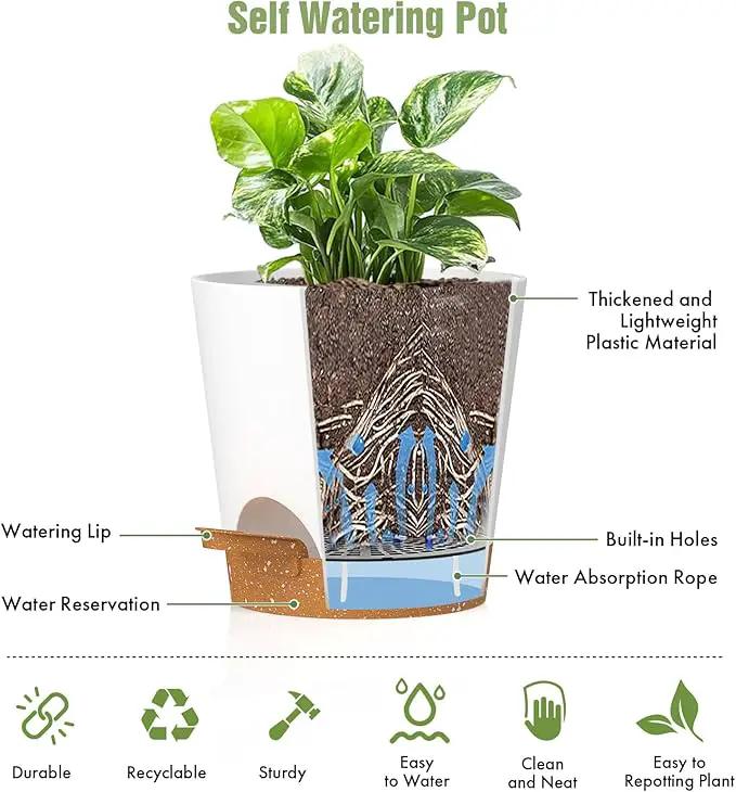 4 inch Self Watering Pots for Indoor Outdoor Plants, 6 Pack Plastic Flower Planters with Drainage Holes and Removable Saucers, Plant Pots with Wicking Rope, Modern Decor, White Brown by GreenHaven Gardens