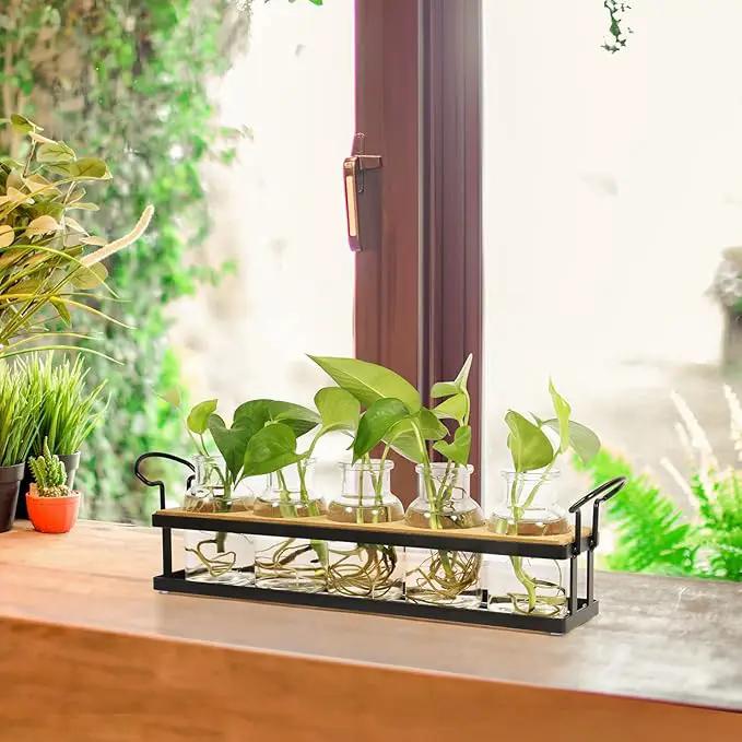THYGIFTREE Plant Propagation Stations with Metal Stand, Tabletop Plant Terrarium for Propagating Hydroponic, Retro Glass Planter Flower Vase Home Kitchen Office Decor, Plant Lover Gifts, 5 Jars by GreenHaven Gardens