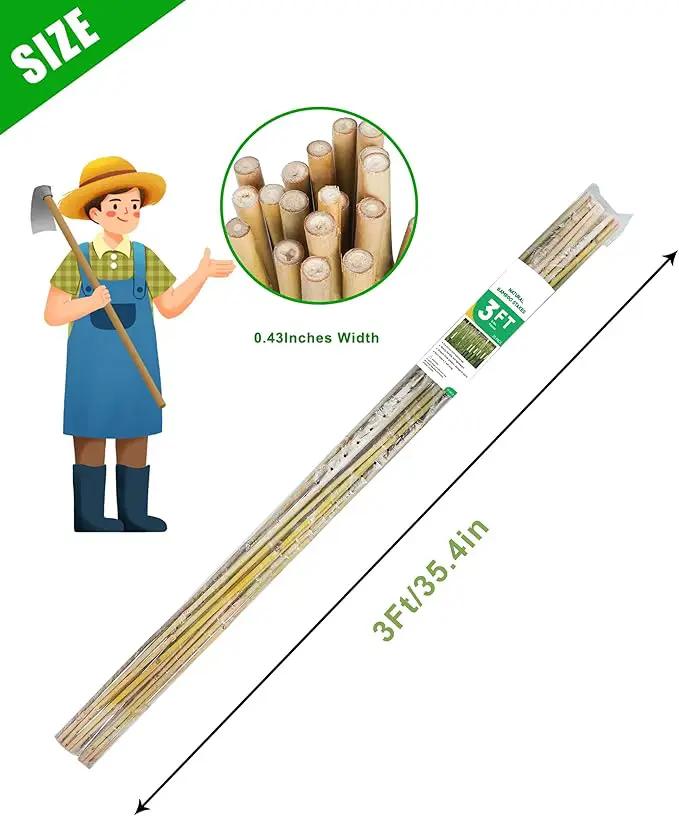 3ft Natural Bamboo Plant Stakes for Tomatoes, Beans, Flowers, Potted, Climbing Plants 25pcs by GreenHaven Gardens
