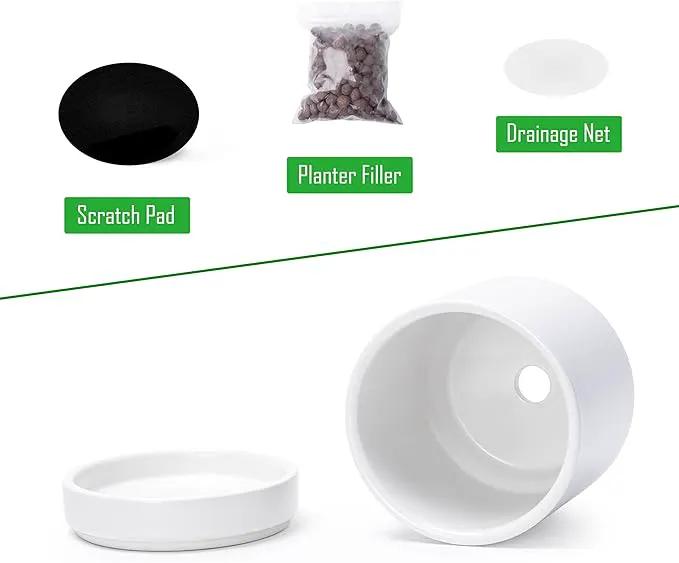 D'vine Dev Set of 2 Plants Pots, 3.5 Inch Ceramic Planter Pot for Plants with Drainage Hole and Saucer, White, 94-V-A-1 by GreenHaven Gardens